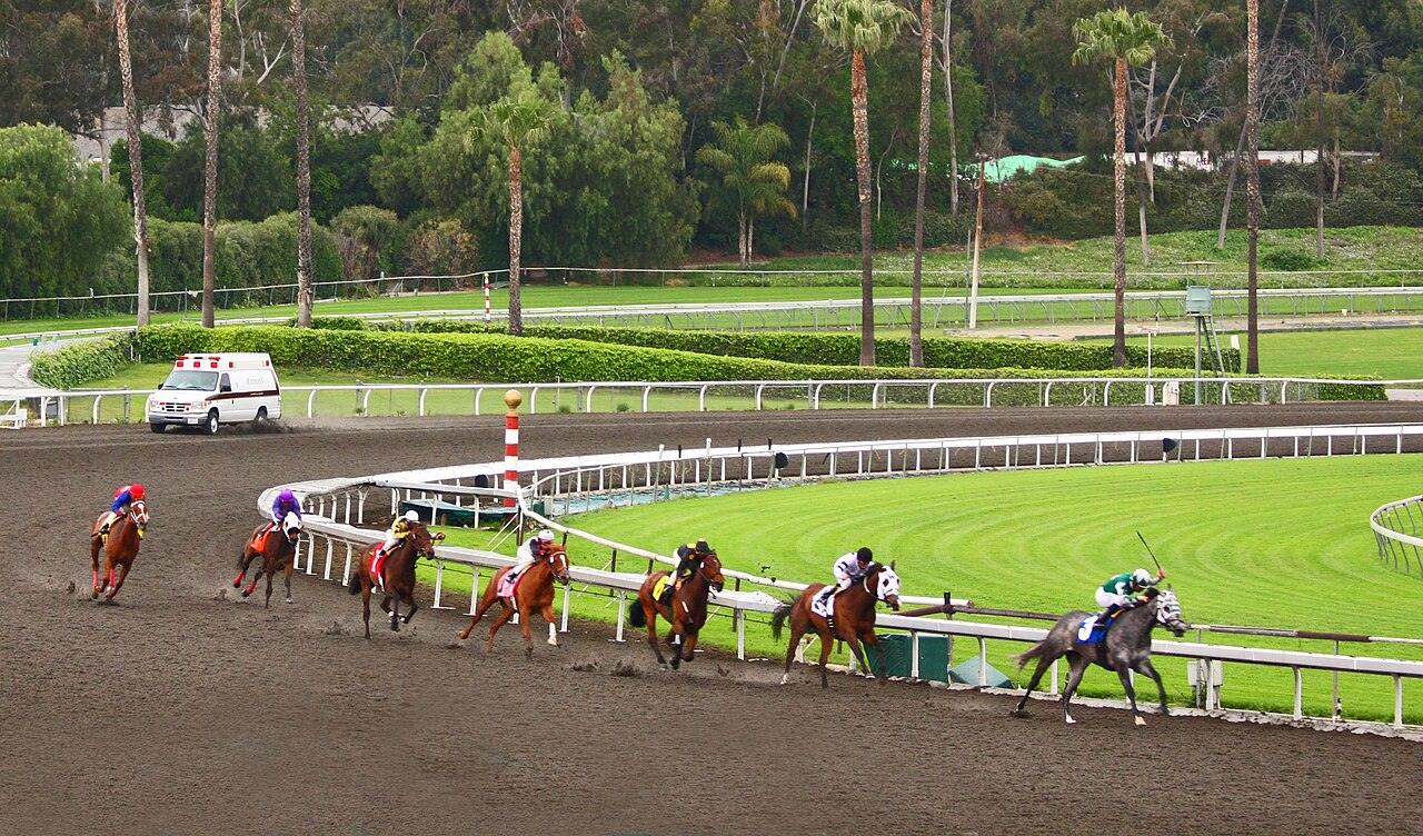 Thoroughbreds racing on the turn at Santa Anita Park in Arcadia